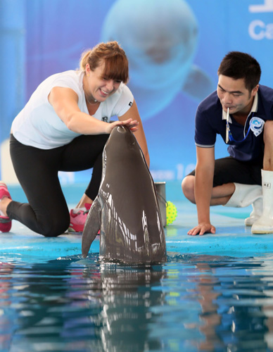 体管理上投 体管理上投