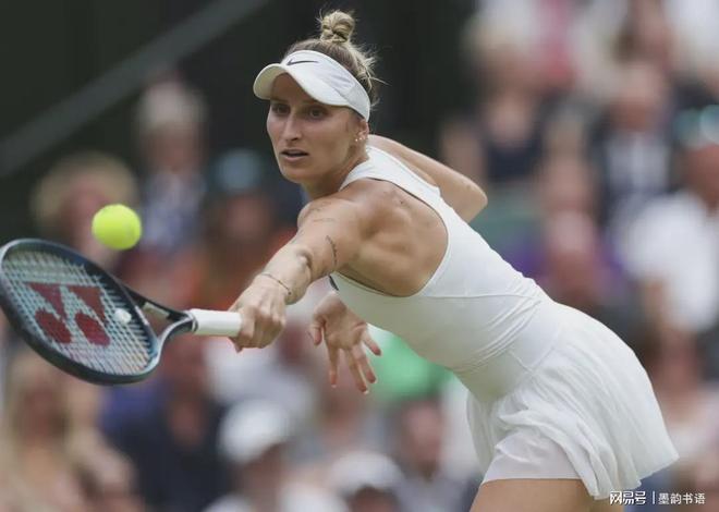 网球运动员 网球运动员