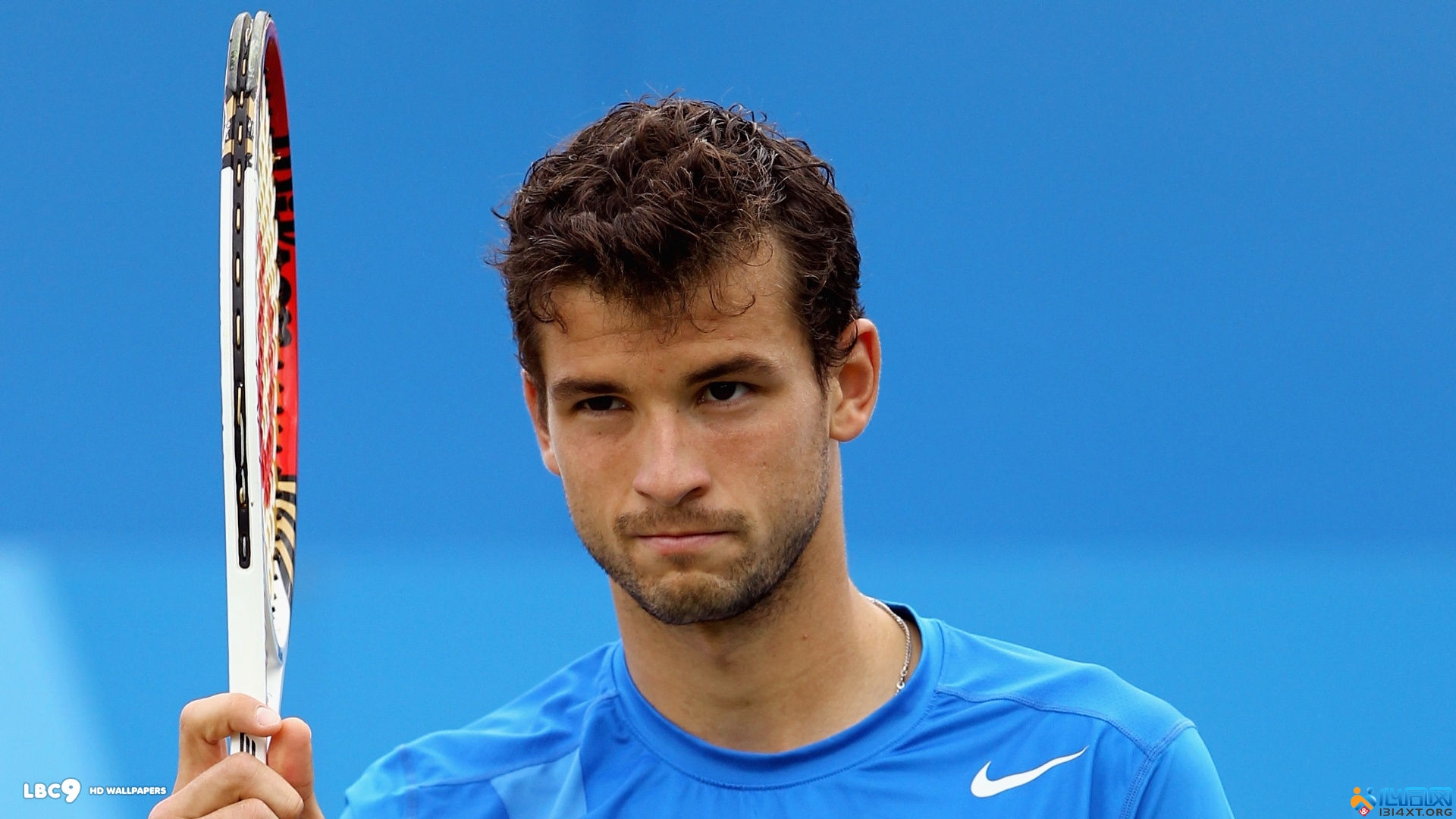 解与期待 解与期待