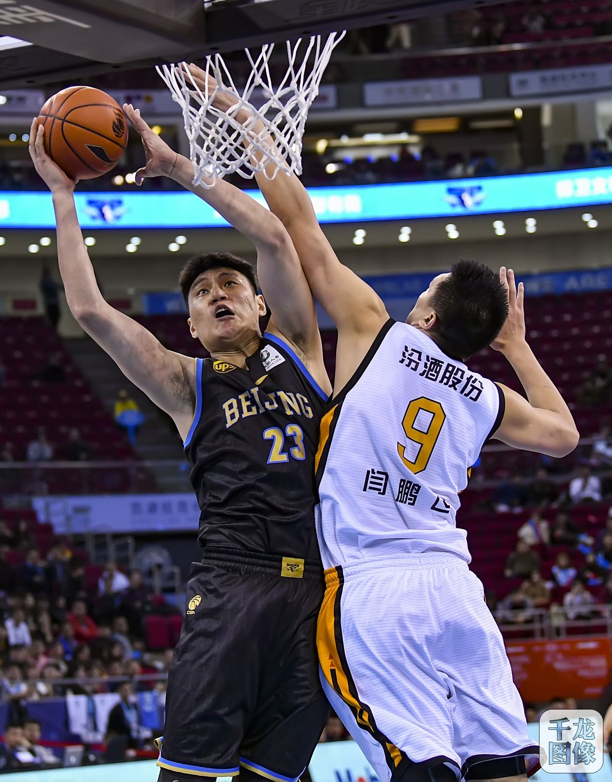 卫们总能及 卫们总能及