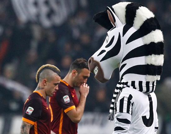 的双重标签 的双重标签