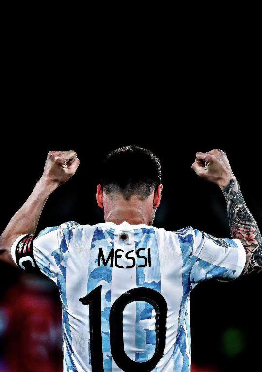 黄蜂改用上 黄蜂改用上